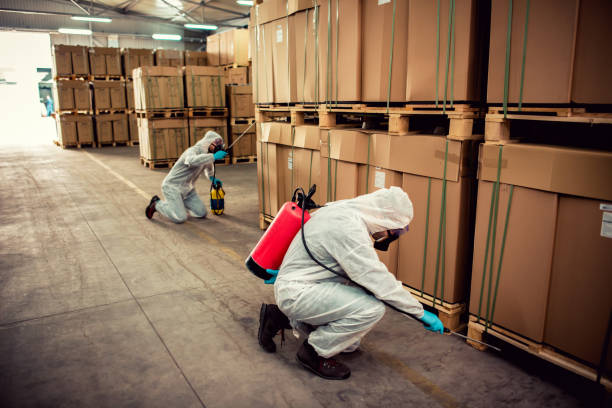 Best Cockroach Control Services  in Woodville, OH