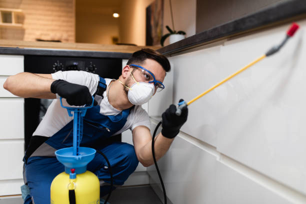 Best Pest Prevention Services  in Woodville, OH
