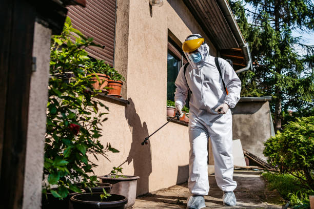 Best Bed Bug Extermination  in Woodville, OH