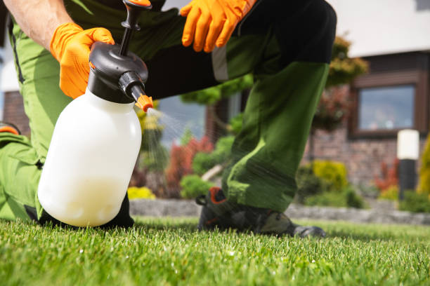 Best Pest Prevention Services  in Woodville, OH