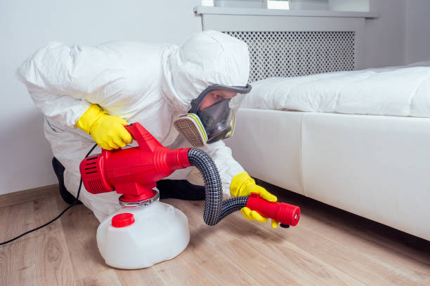 Best Rat Extermination Near Me  in Woodville, OH