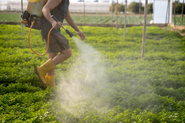 Best Pest Control for Homes  in Woodville, OH