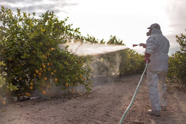 Best Best Pest Control Companies  in Woodville, OH