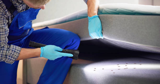 Professional Pest Control in Woodville, OH