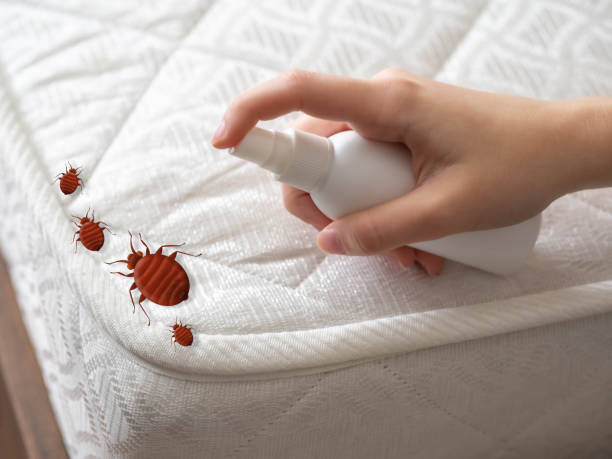 Best Pest Removal Services  in Woodville, OH