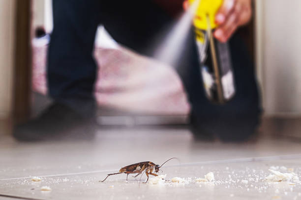 Best Commercial Pest Control Services  in Woodville, OH
