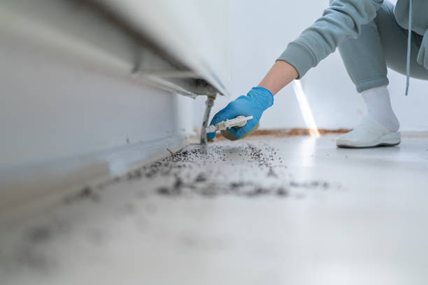 Best Emergency Pest Control  in Woodville, OH