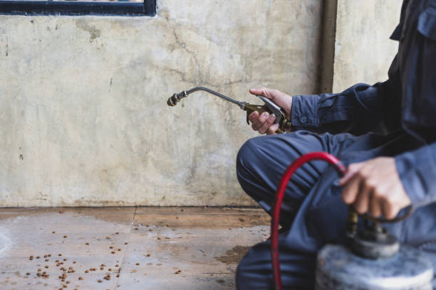 Best Affordable Pest Control Services  in Woodville, OH